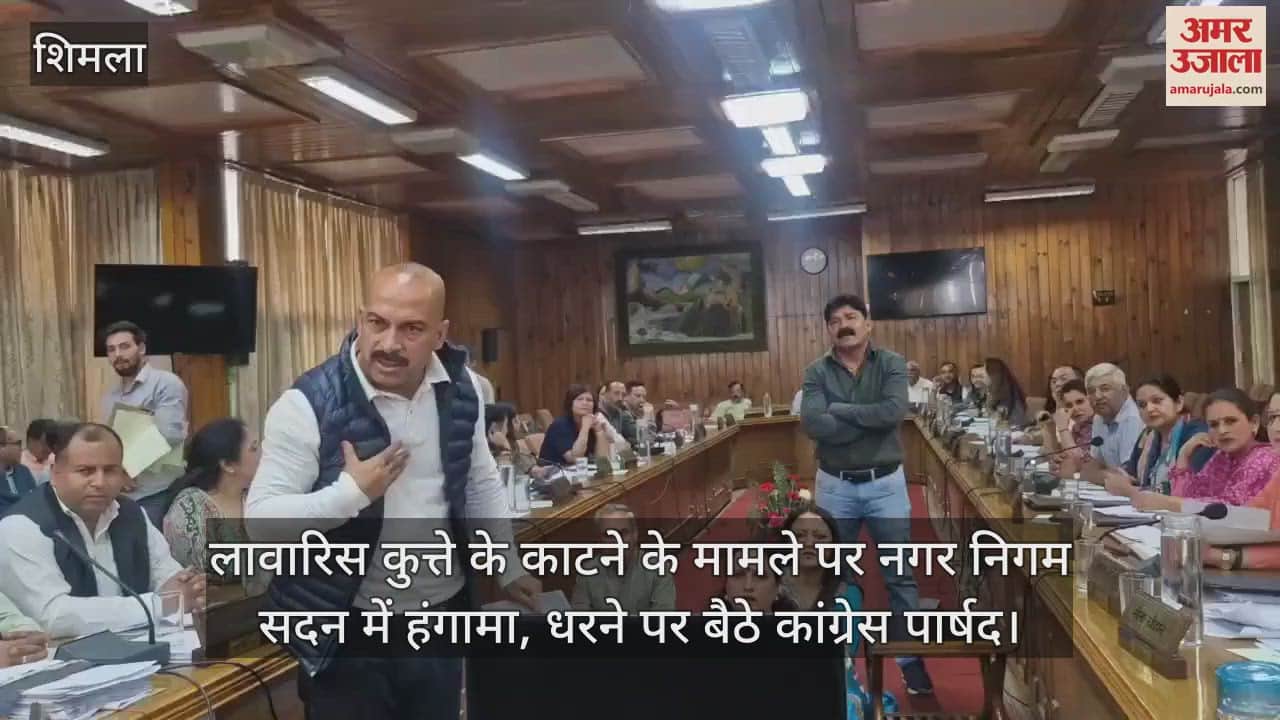 Shimla Uproar in the Municipal Corporation House over the case of stray dog bite