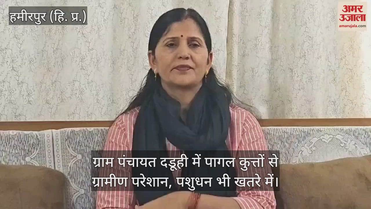 Villagers in Gram Panchayat Daduhi are troubled by rabies dogs