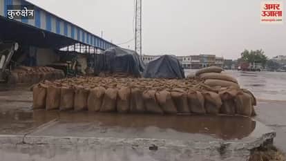 There is a danger of wheat getting wet due to drizzle in Kurukshetra, delay in lifting of grain in grain markets due to negligence