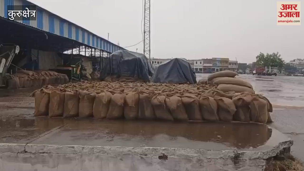 There is a danger of wheat getting wet due to drizzle in Kurukshetra, delay in lifting of grain in grain markets due to negligence