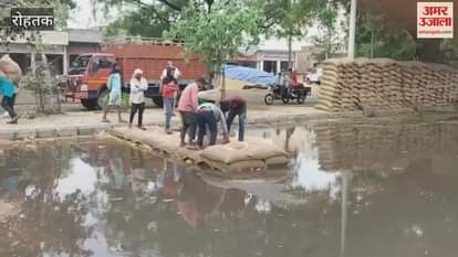 Due to lack of adequate arrangements to protect from rain in Rohtak, lakhs of quintals of wheat kept in grain markets got wet
