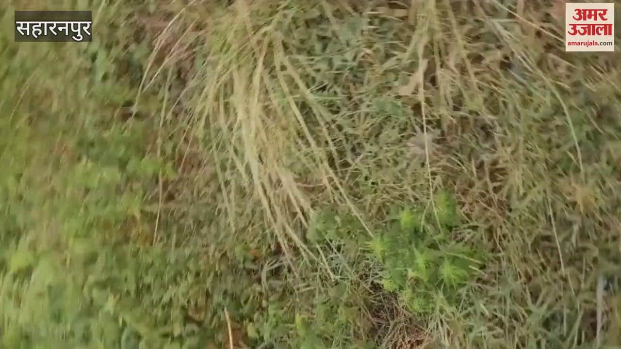 School bus slips into canal in Saharanpur, two female teachers including five children injured