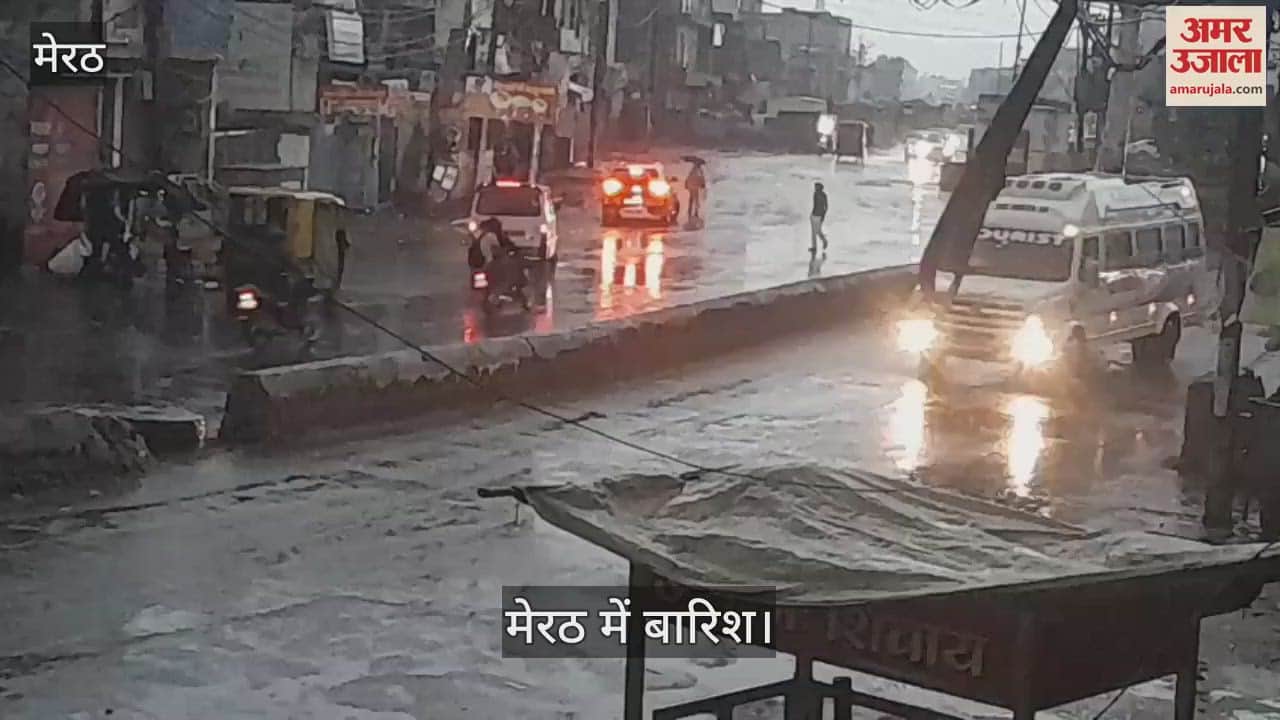 Heavy rains in Meerut, temperature drops, wheat crop damaged