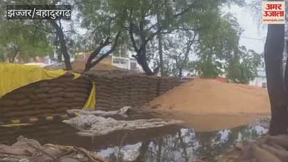 Thousands of quintals of wheat got wet in the grain market in Jhajjar, the commission agents said that the wheat was returned from the warehouses