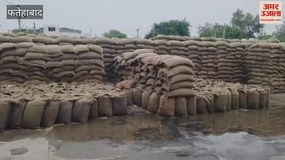 Sacks full of wet wheat in the old grain market of Fatehabad