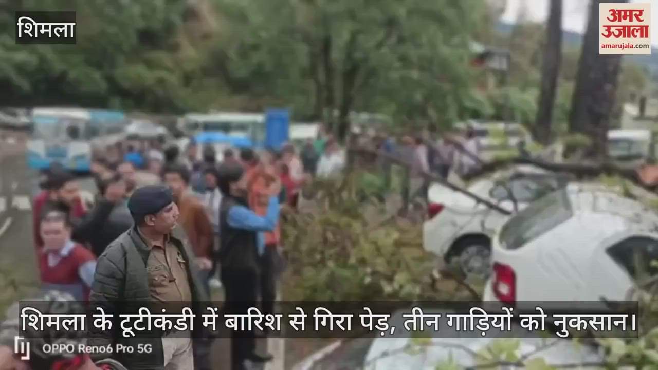 Tree fell due to rain in Tutikandi, Shimla, three vehicles damaged