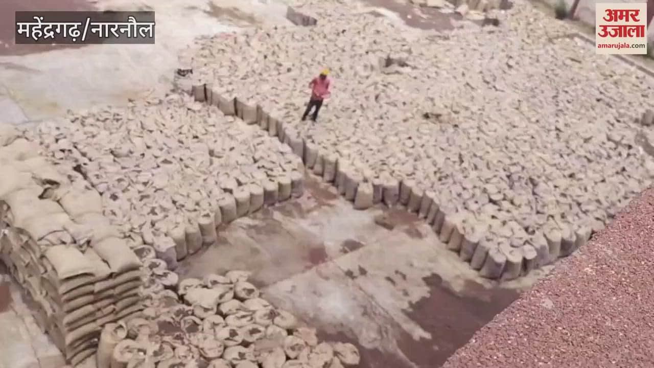 Light rain in Mahendragarh increased the moisture in 7200 quintals of mustard