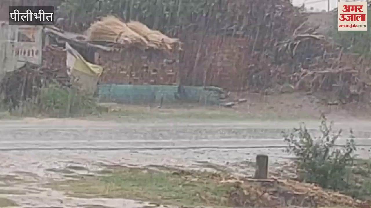 Weather changed due to rain in Pilibhit
