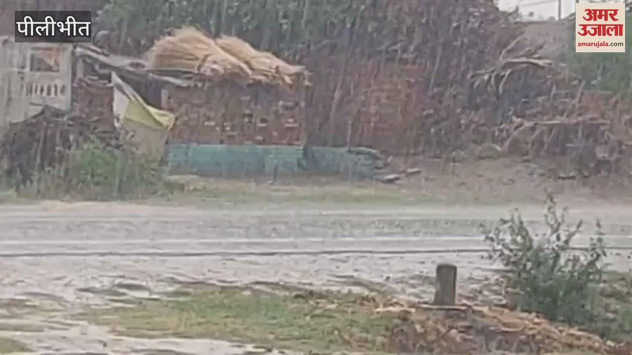 Weather changed due to rain in Pilibhit