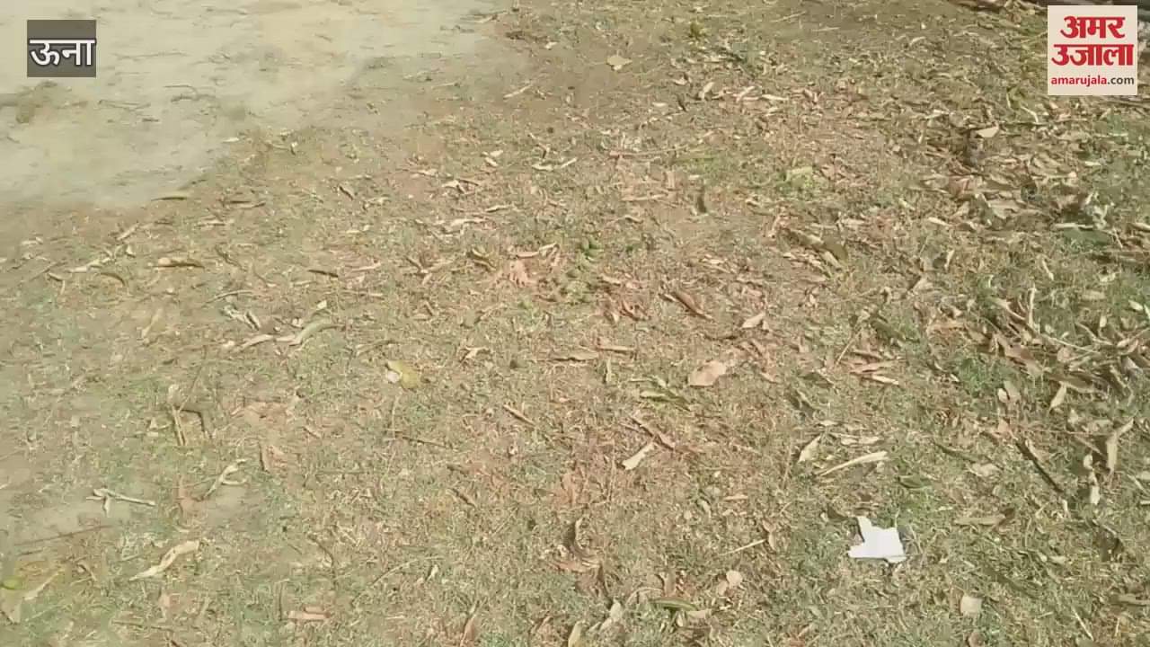 Una Mango crop damaged due to storm and rain farmers demanded compensation