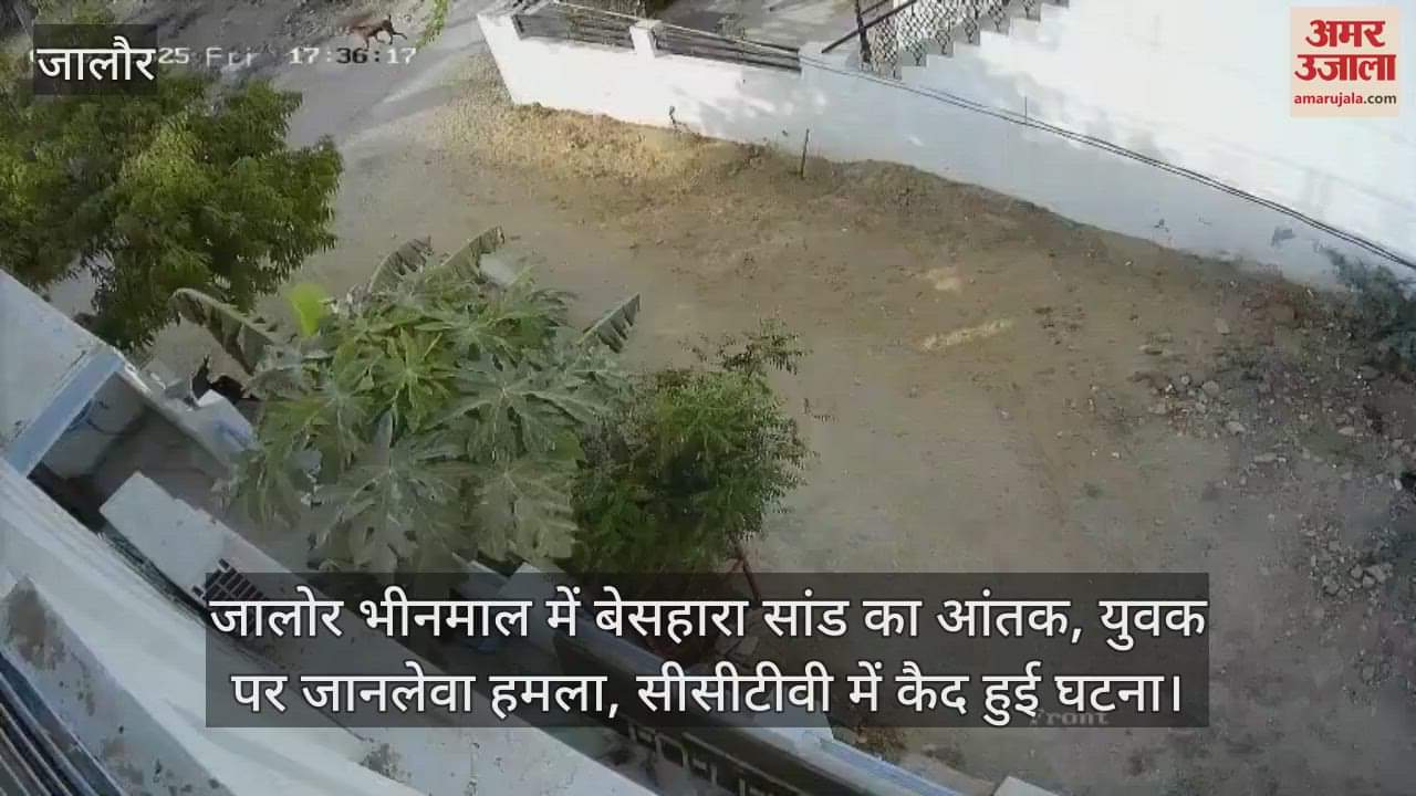 Terror of a stray bull in Jalore Bhinmal, deadly attack on a youth, incident captured on CCTV