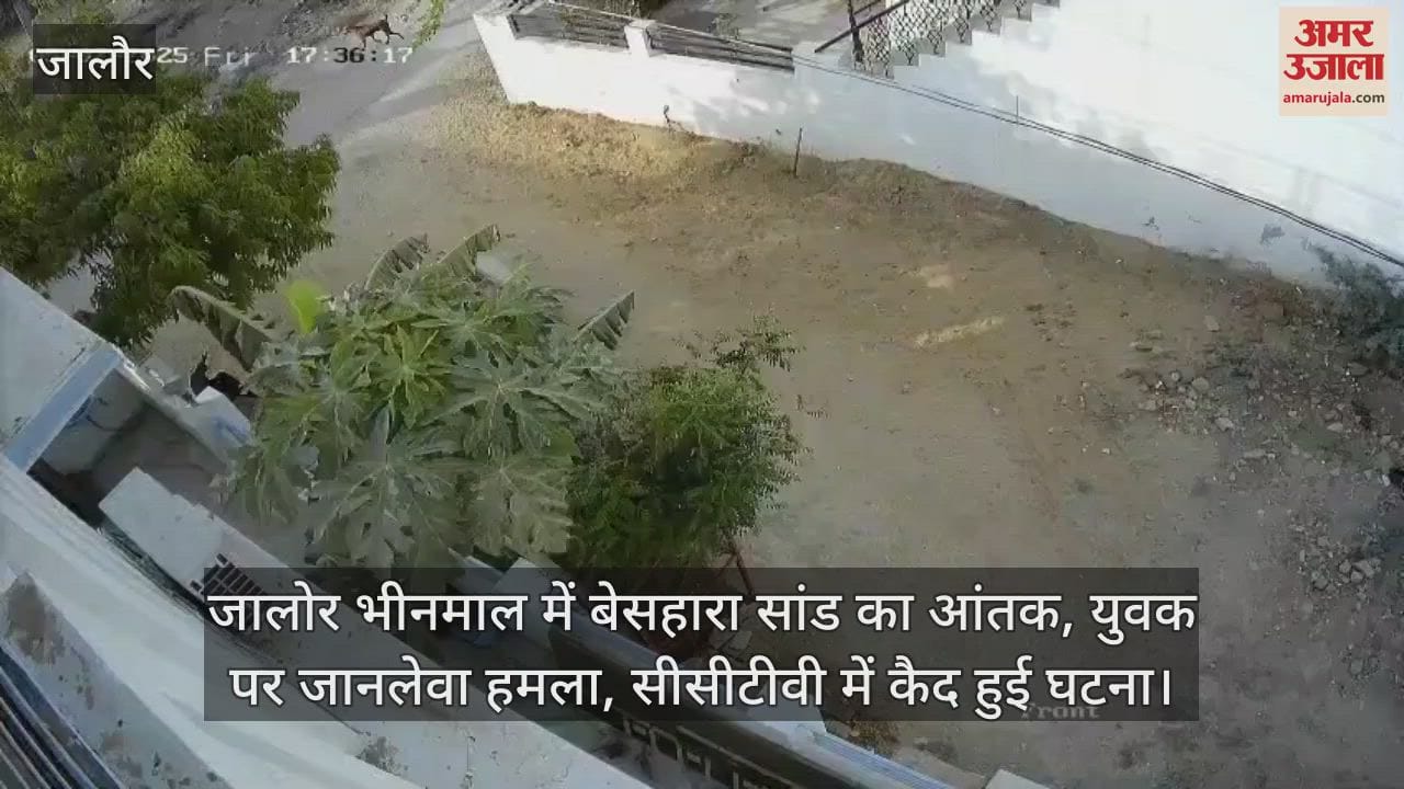Terror of a stray bull in Jalore Bhinmal, deadly attack on a youth, incident captured on CCTV