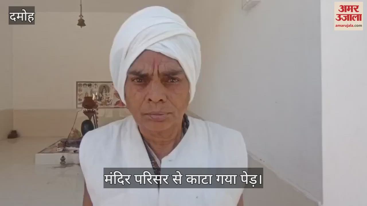 MP News: Sandalwood tree worth lakhs stolen again from Falko temple in Sigrampur, Damoh