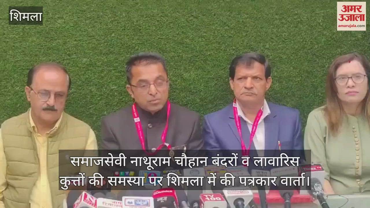 Nathuram Chauhan said- MC should solve the problem of monkeys and stray dogs in Shimla