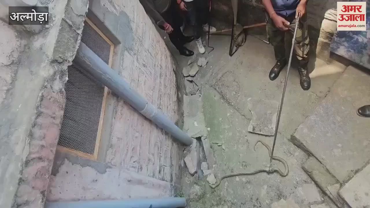 A snake that entered a house in Champanaula was rescued