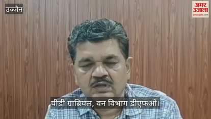 Ujjain News: Forest department created an artificial forest by planting 1.50 lakh saplings