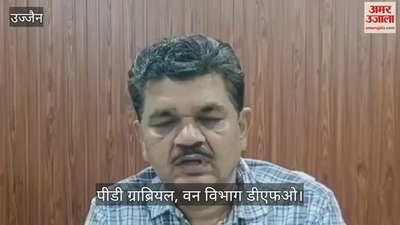 Ujjain News: Forest department created an artificial forest by planting 1.50 lakh saplings