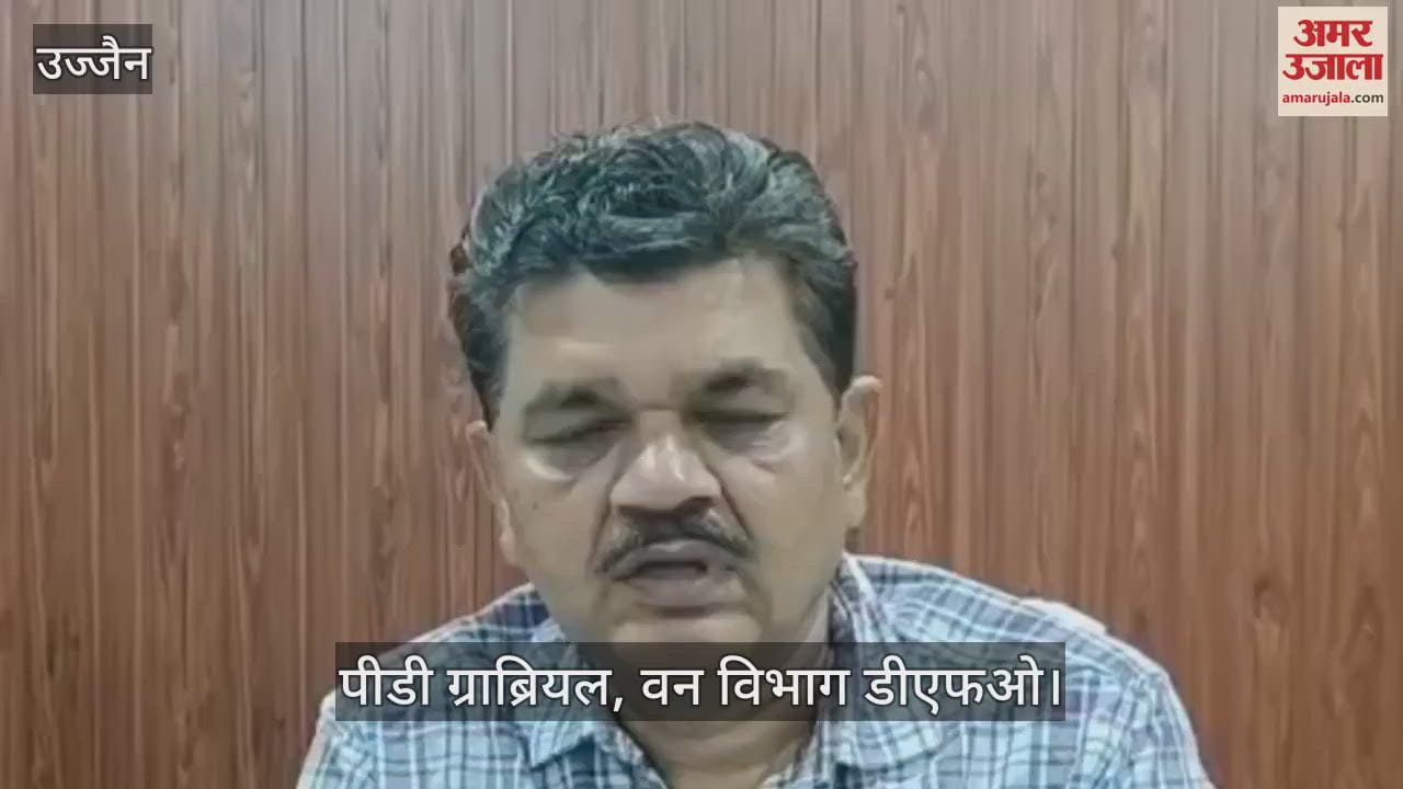 Ujjain News: Forest department created an artificial forest by planting 1.50 lakh saplings