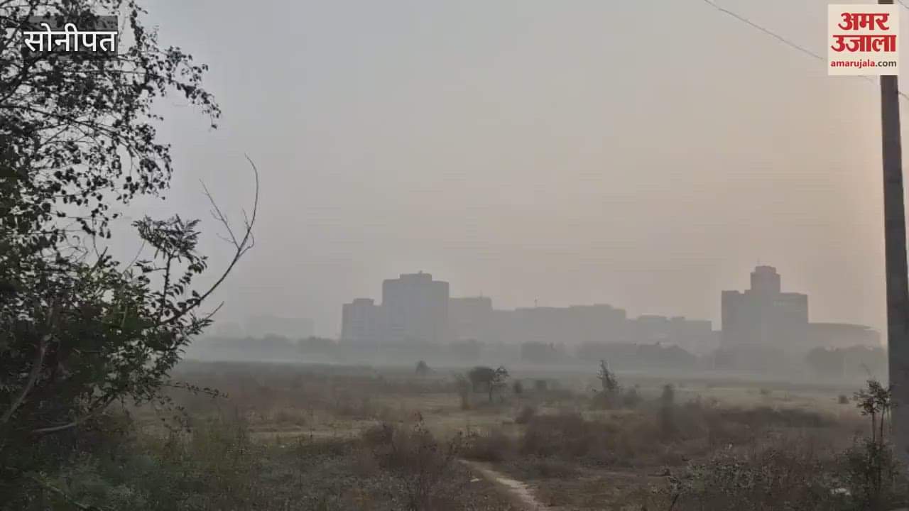 After drizzle in Sonipat, the weather is humid and there is light fog