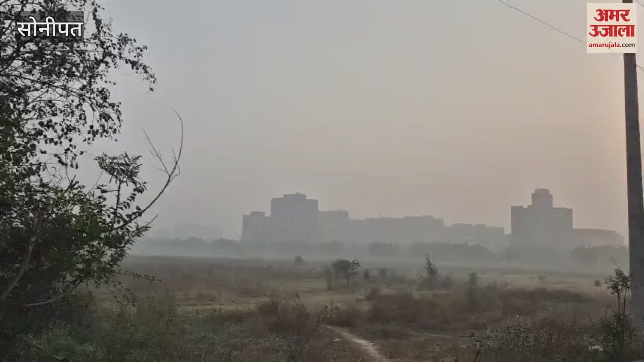 After drizzle in Sonipat, the weather is humid and there is light fog