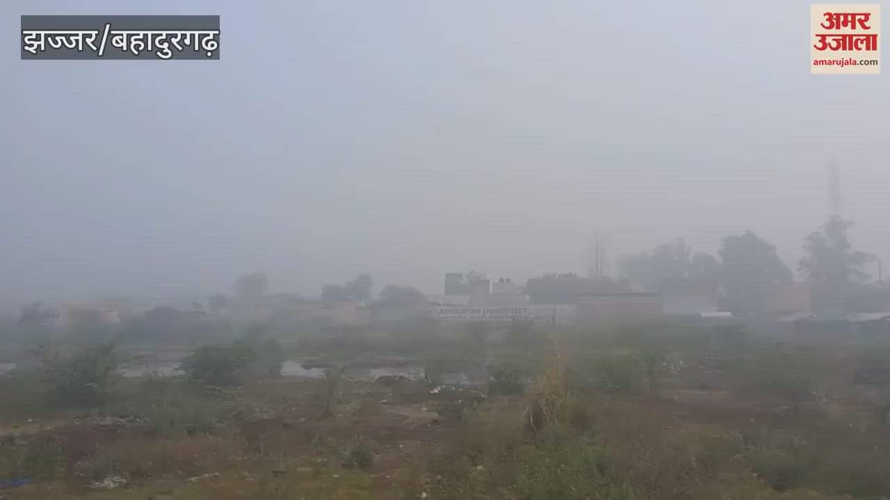 Smog covered Jhajjar with light drizzle