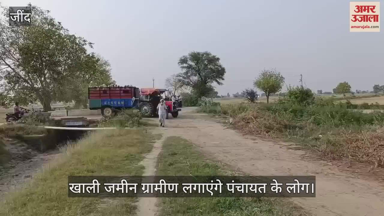 Villagers will grow trees on empty land in Gurukul Kheda