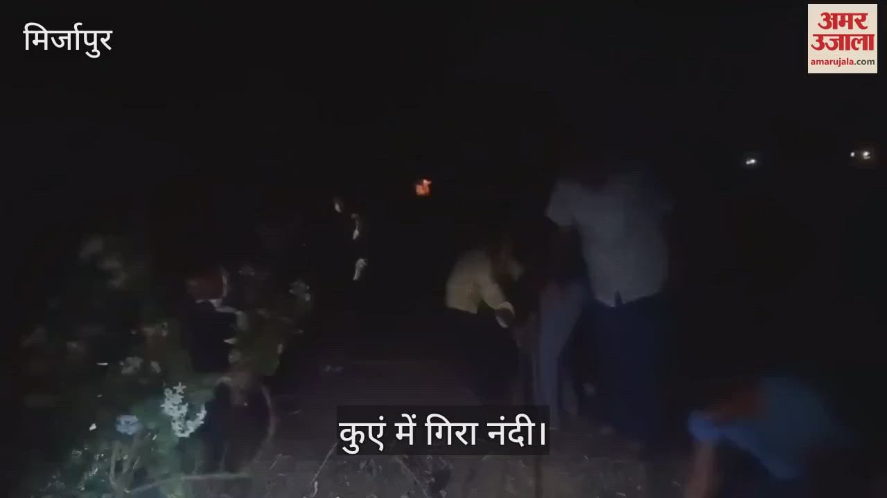 Rescue operation was conducted to save the bull in Mirzapur it had fallen in the well