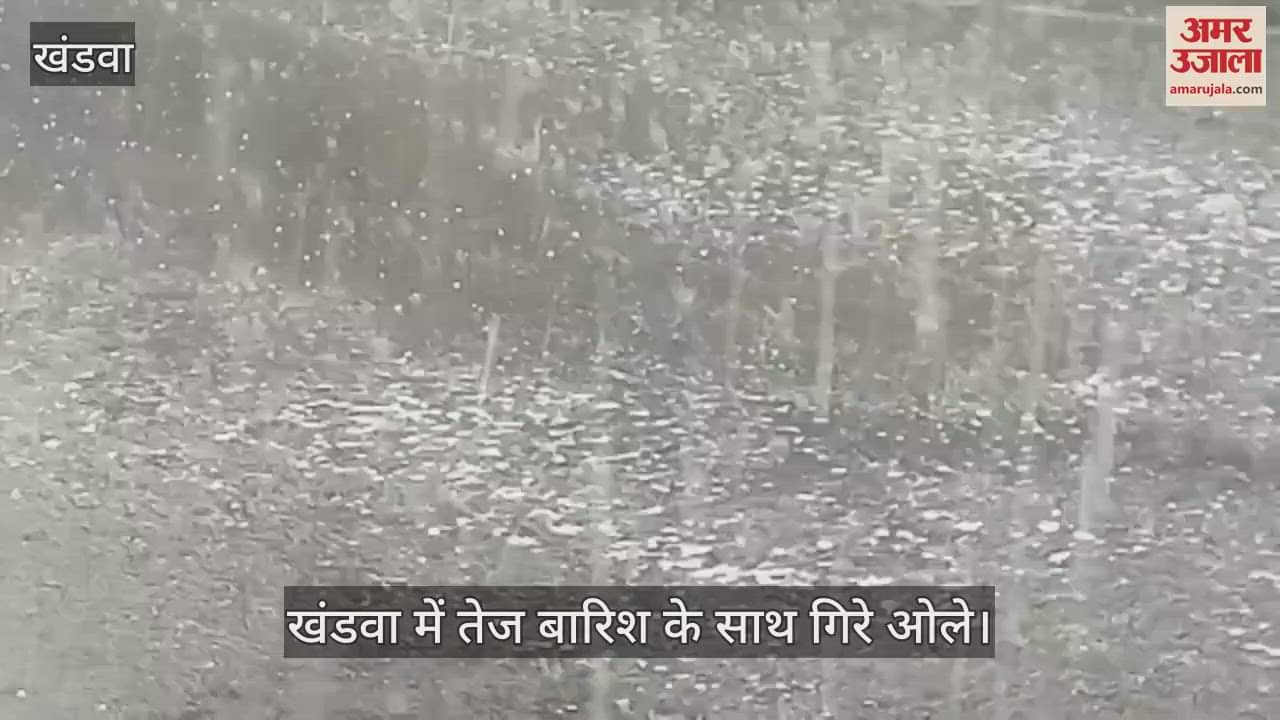 Khandwa News: People got relief due to the drop in temperature along with heavy rain