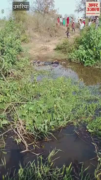 Two youths died due to electric shock in Manpur police station area of Umaria district