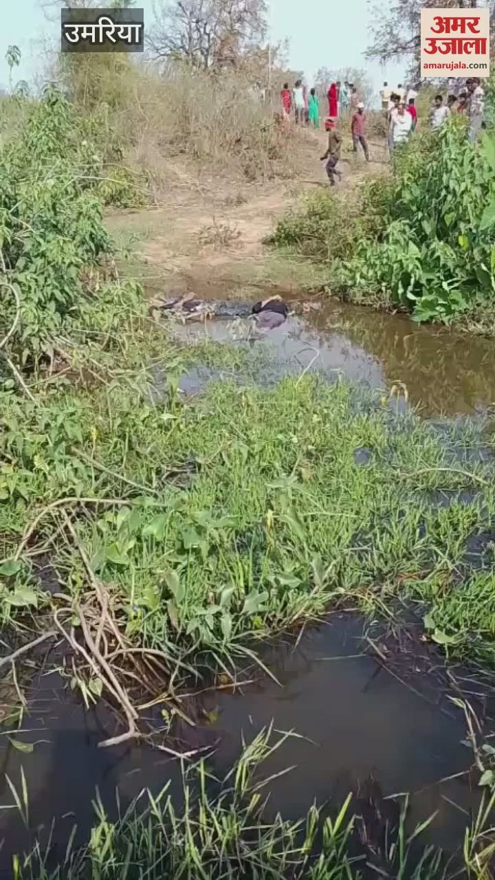 प्रतीकात्मक फोटो