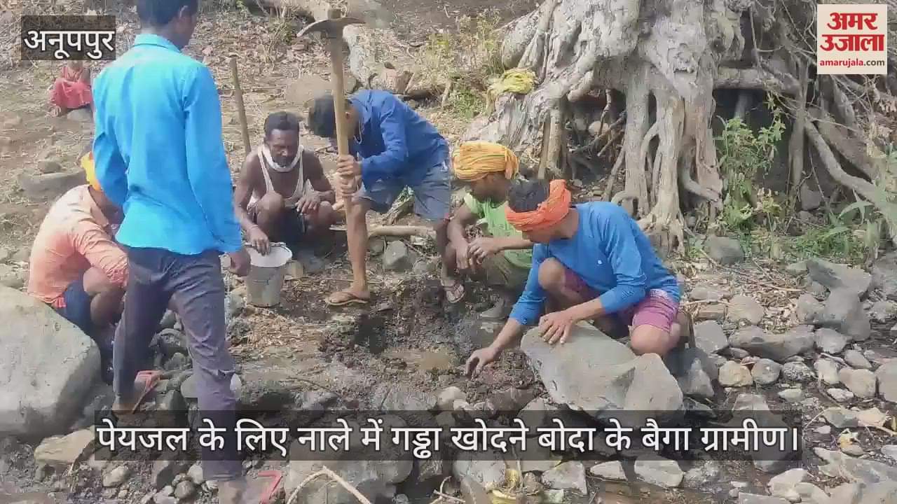 Water Crisis Baiga forced to drink dirty drain water in Anuppur struggling for every drop