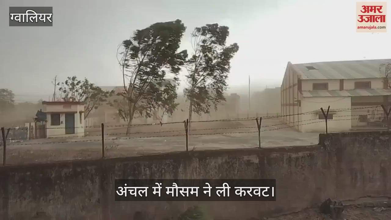 Gwalior Weather News Heavy rain accompanied by storm in Gwalior Chambal hail fell in many areas