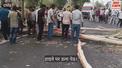 Damoh News Tree and power line fell during storm