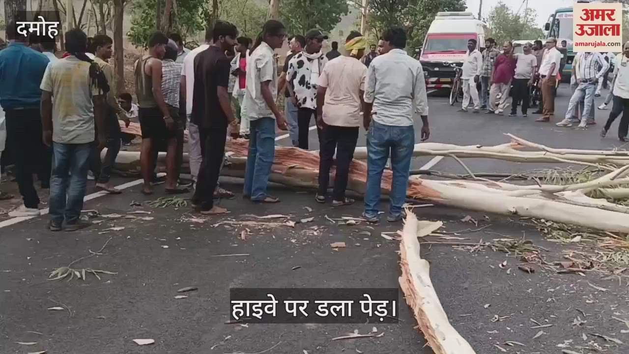 Damoh News Tree and power line fell during storm