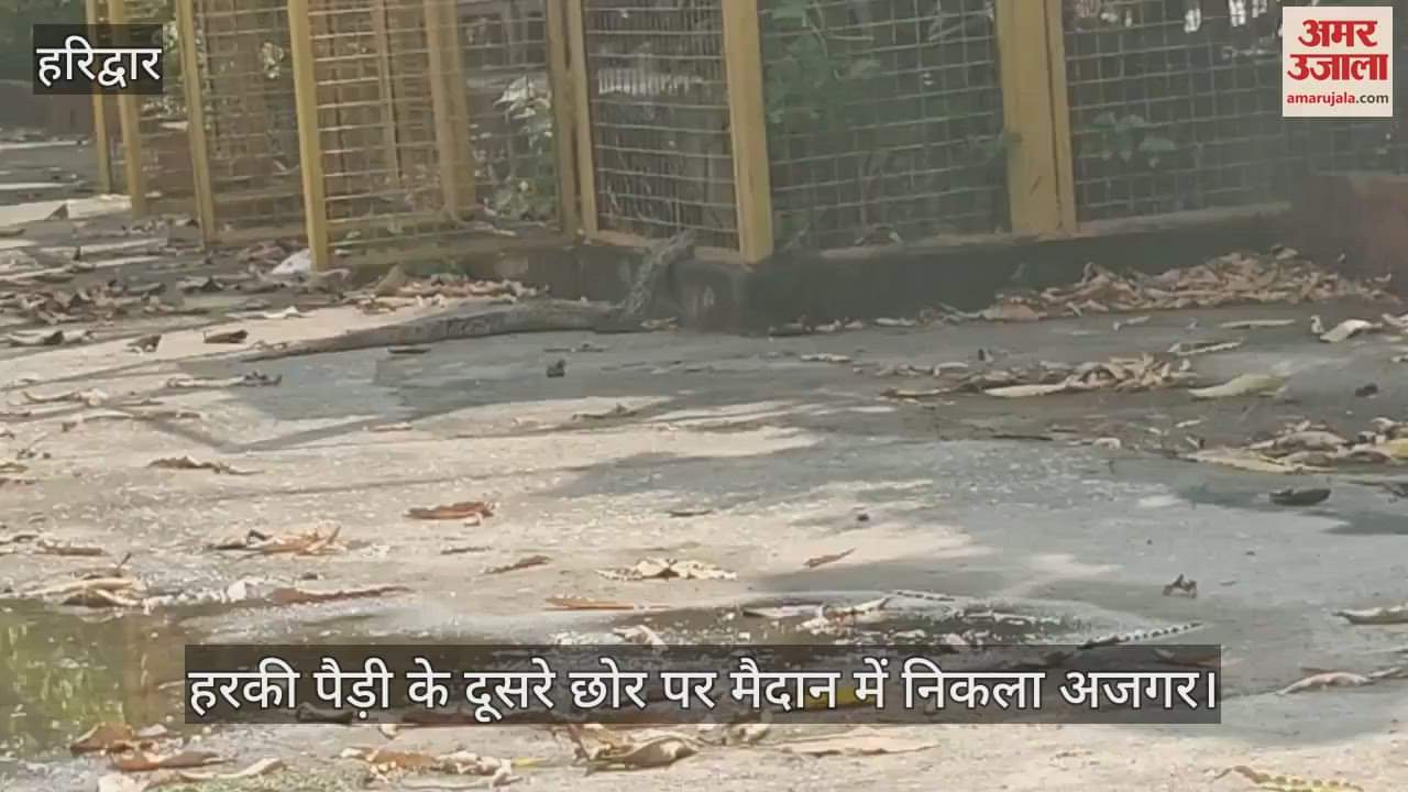 python Found in  field at other end of Har ki Pauri  local youth caught it and put it in a sack