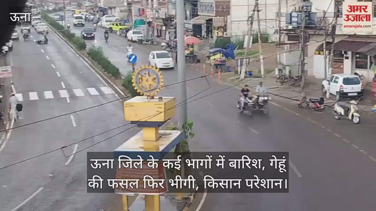 Rain in many parts of Una district, wheat crop got wet again, farmers worried