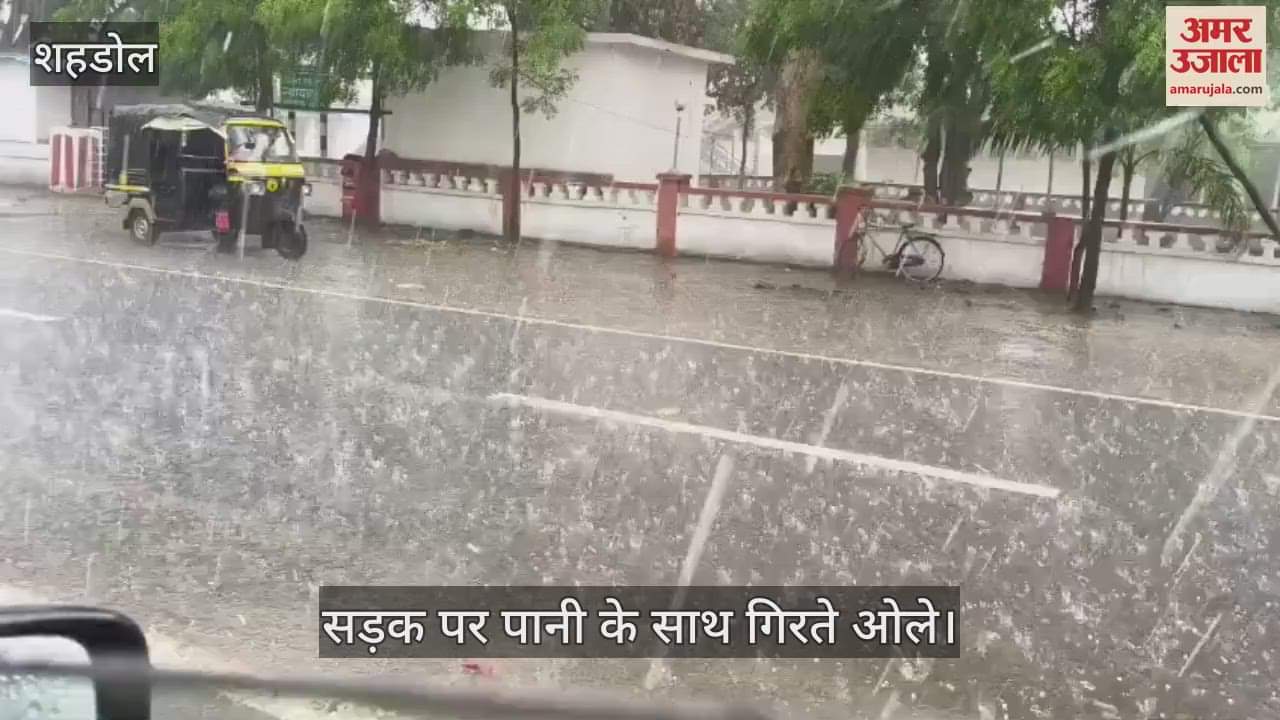 Heavy rain and hailstorm in Shahdol disrupted life, a girl died due to lightning