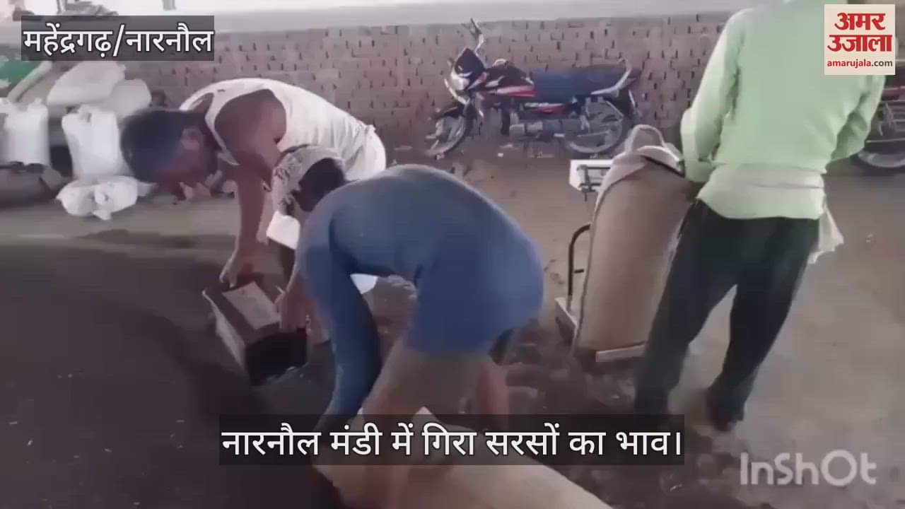 Farmers are worried due to falling price of mustard