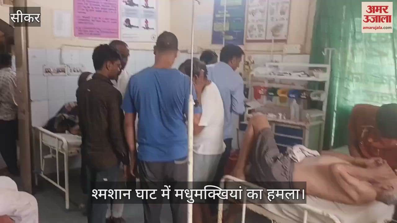 Sikar News: Bees attack in Mokshadham, a dozen people injured, four referred to Jaipur in critical condition