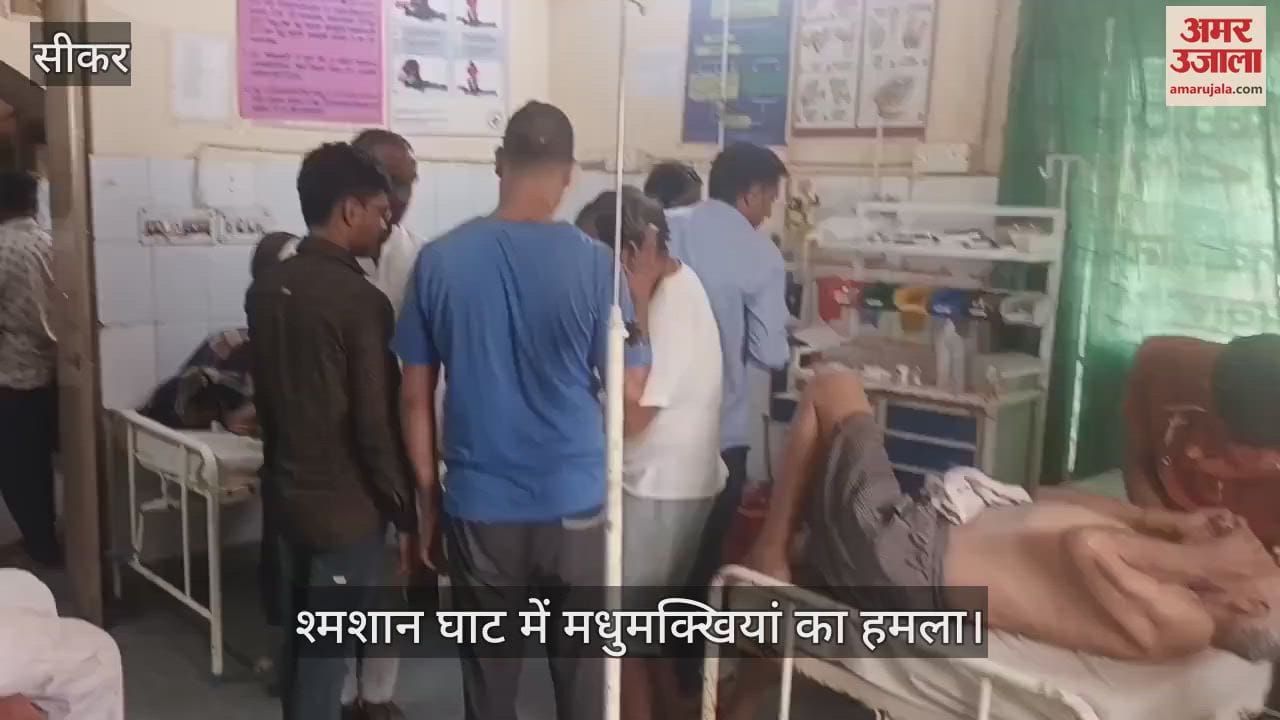 Sikar News: Bees attack in Mokshadham, a dozen people injured, four referred to Jaipur in critical condition