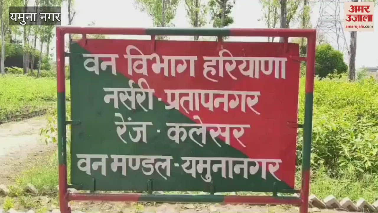 Khair smugglers opened fire on the forest department team in Yamunanagar, bullet shells found at the spot