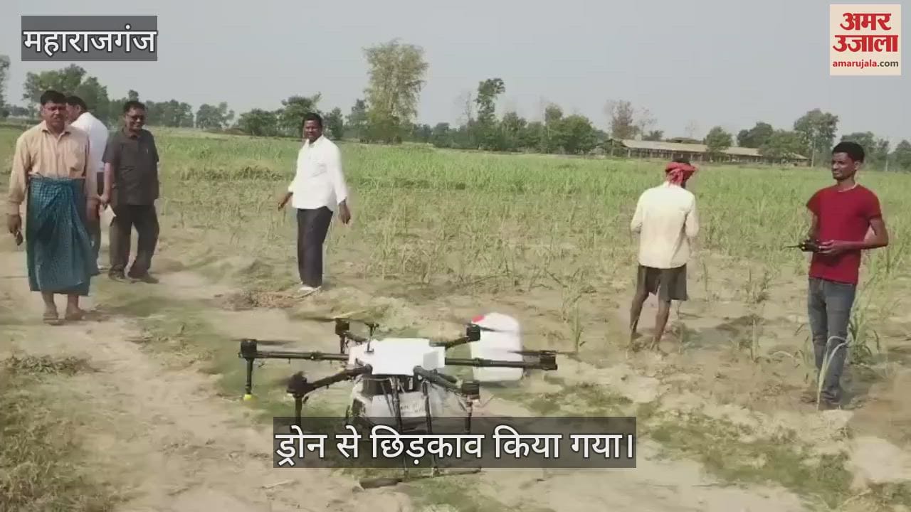 Sugarcane crop was sprayed using drone