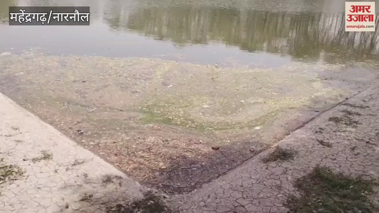 Water was found in JLN in Mahendragarh for three days, it is not potable due to poor quality