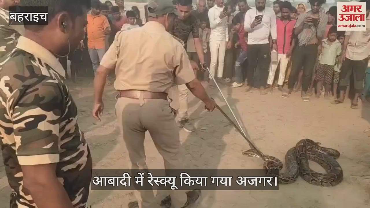 VIDEO: Bahraich: आबादी में निकला विशालकाय अजगर, आधे घंटे तक चला रेस्क्यू