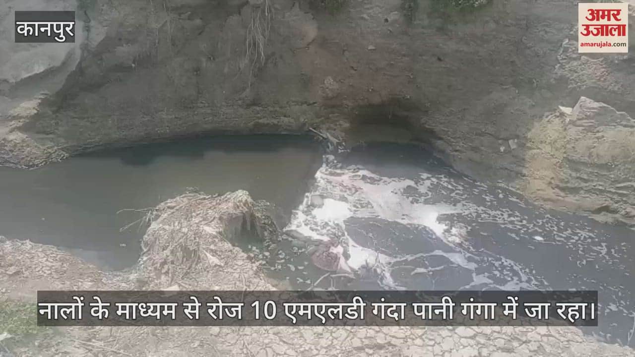 कानपुर में गंगा में बहाया जा रहा है गंदा पानी, बायोरेमेडिएशन विधि से शोधित करने के नाम पर हो रही है खानापूरी