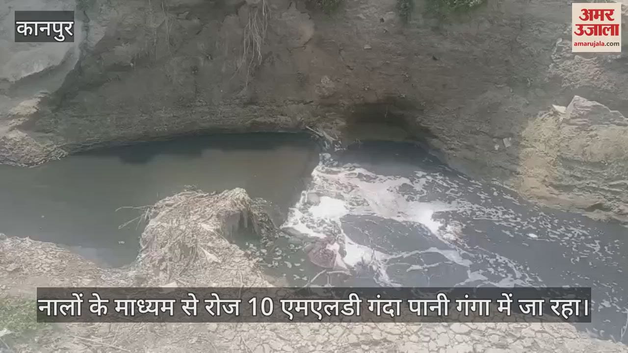 कानपुर में गंगा में बहाया जा रहा है गंदा पानी, बायोरेमेडिएशन विधि से शोधित करने के नाम पर हो रही है खानापूरी