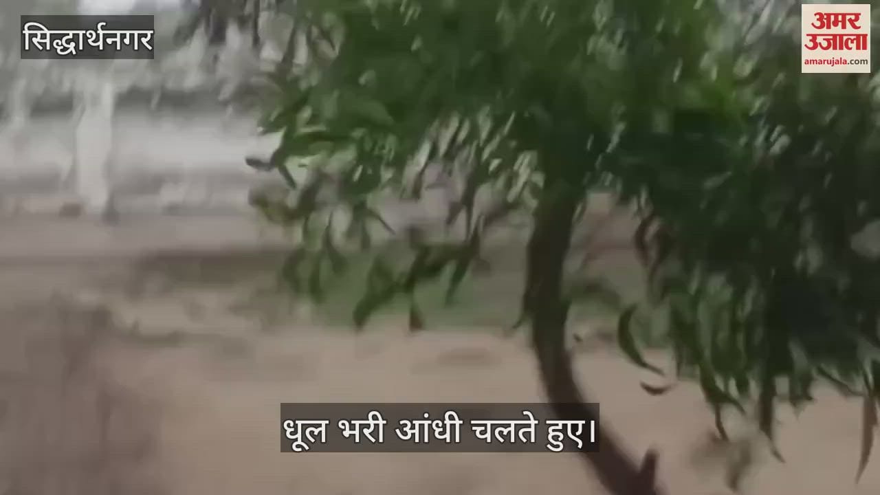 Dust storm blew in Biskohar, people looked troubled