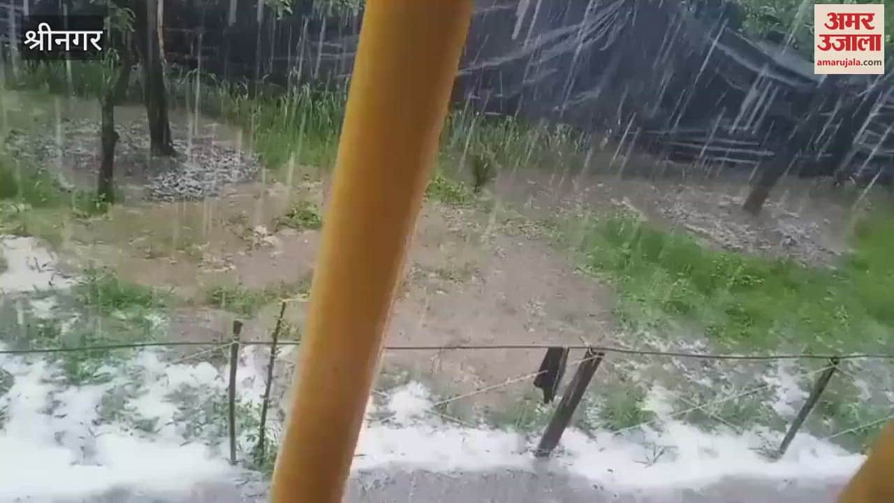 Snow layer on roads due to hailstorm in South Kashmir, farmers suffer huge losses