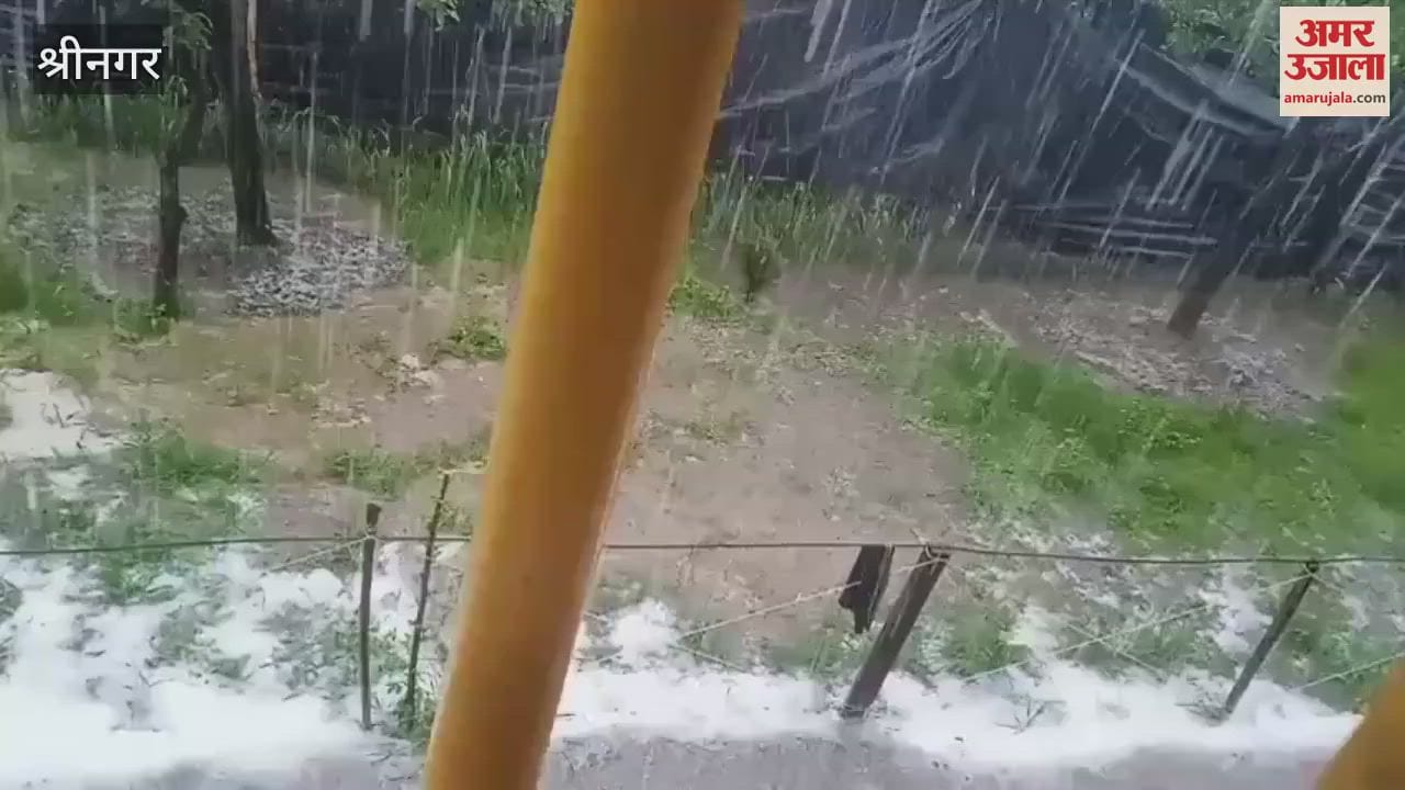 Snow layer on roads due to hailstorm in South Kashmir, farmers suffer huge losses