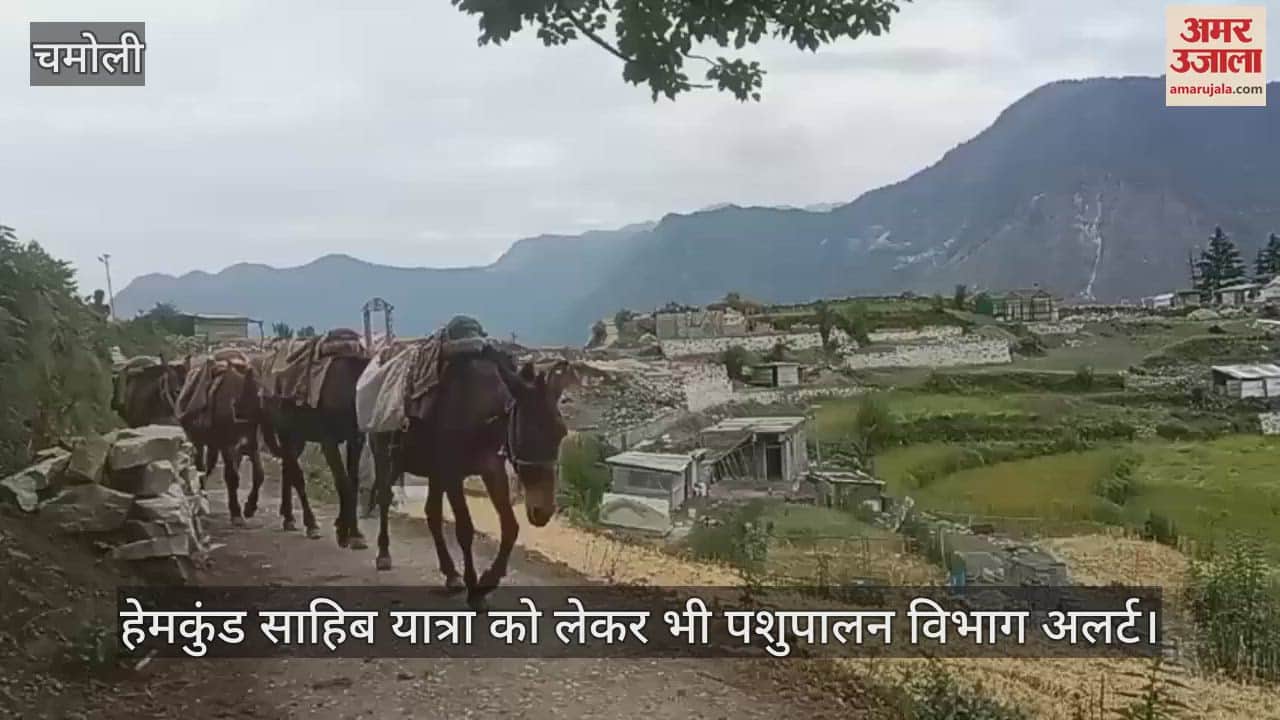 Hemkund Sahib Yatra 2025 More than 900 horses and mules were examined for equine influenza infection